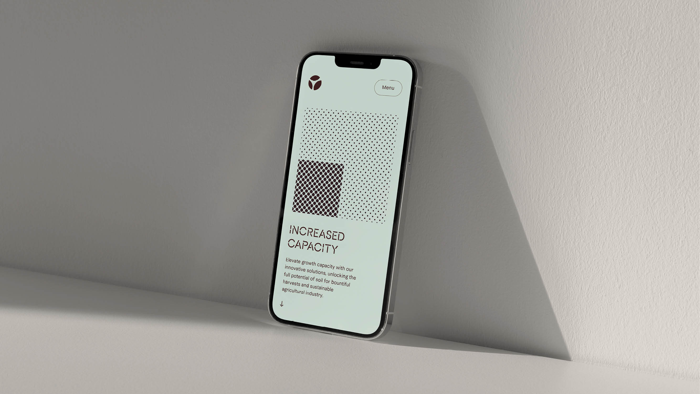 Terramarine Identity KIND Web12 241205 144054