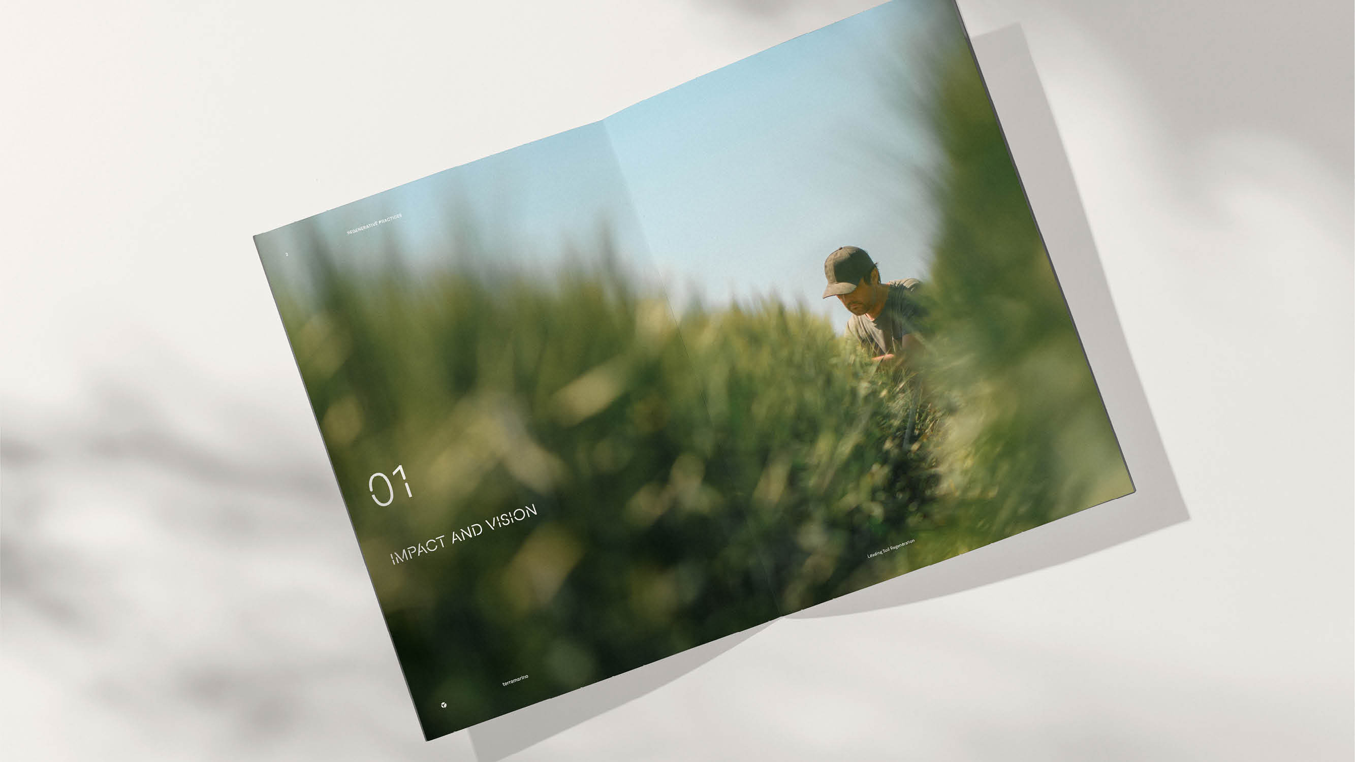 Terramarine Identity KIND Web15 241205 144105