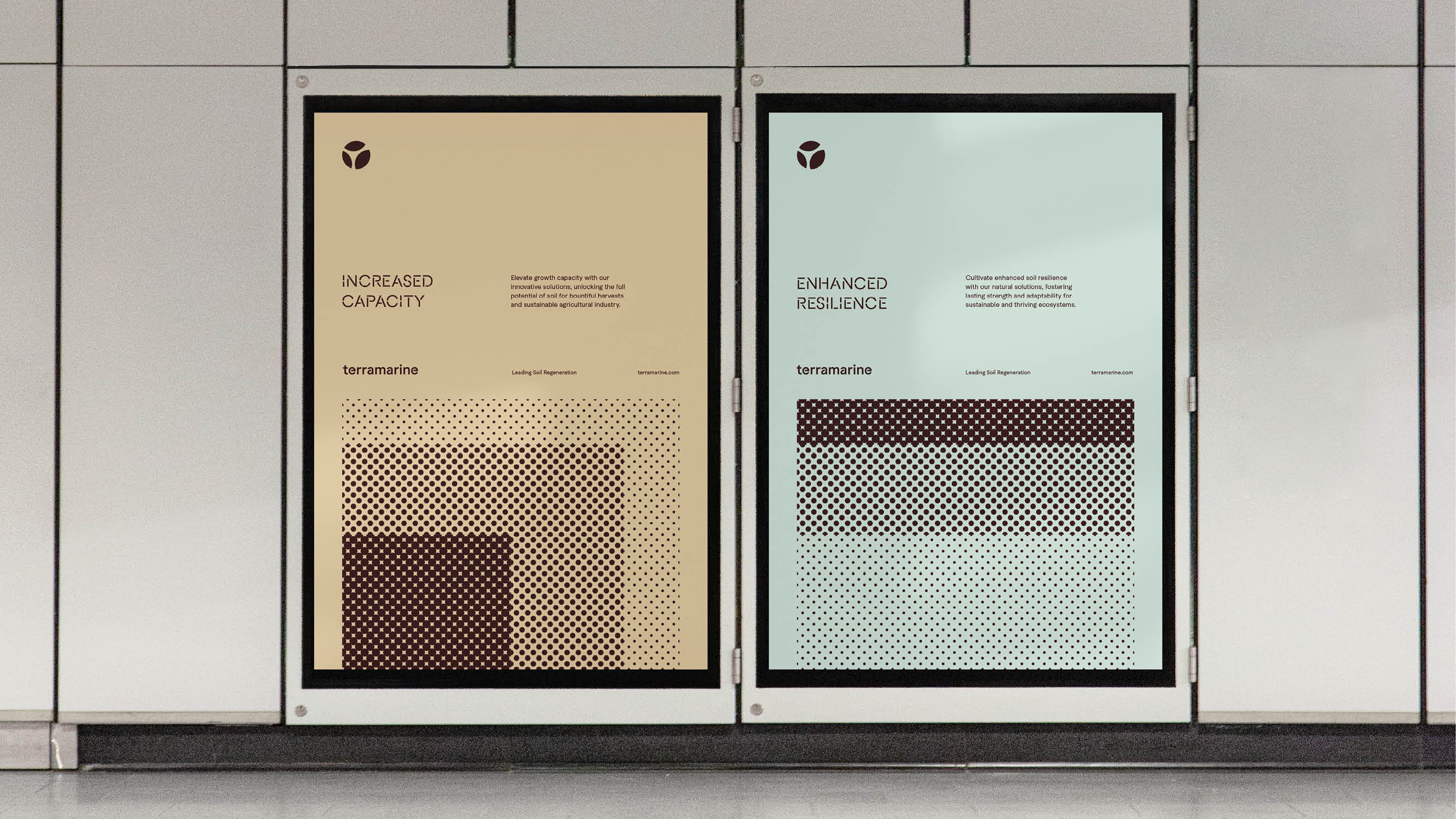 Terramarine Identity KIND Web17 241205 144111