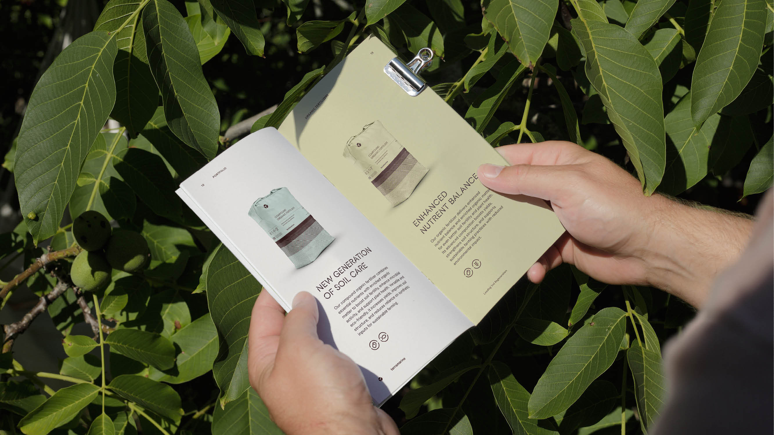 Terramarine Identity KIND Web20