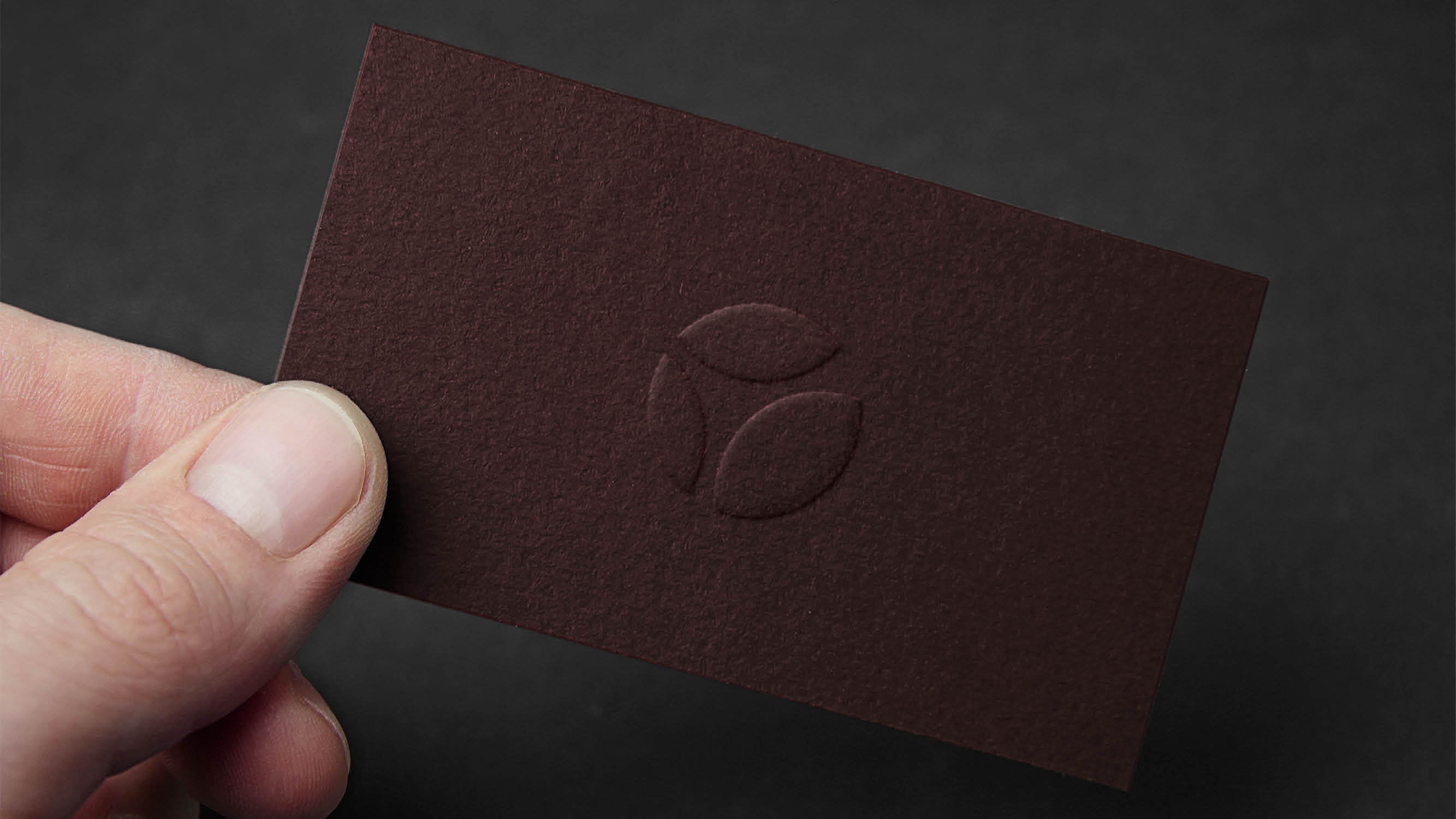 Terramarine Identity KIND Web2 241205 144006