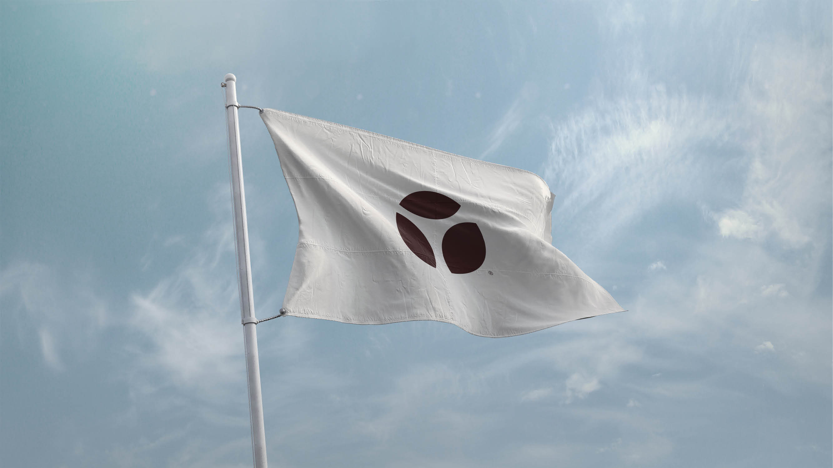 Terramarine Identity KIND Web3 241205 144009