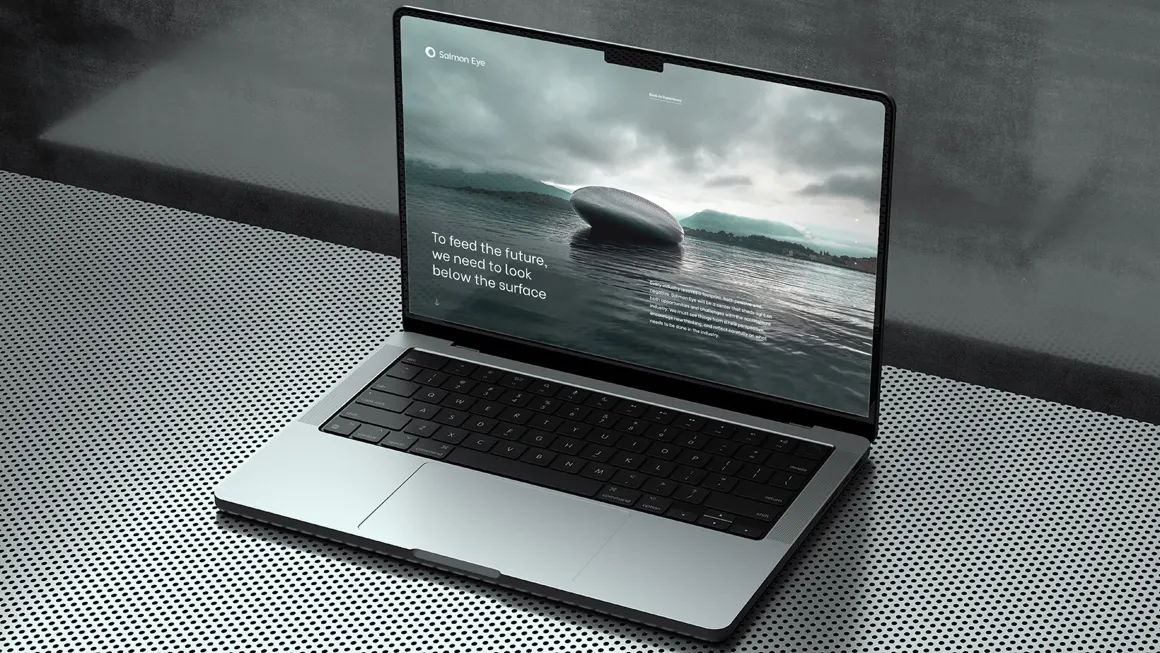 WEB SE ID10