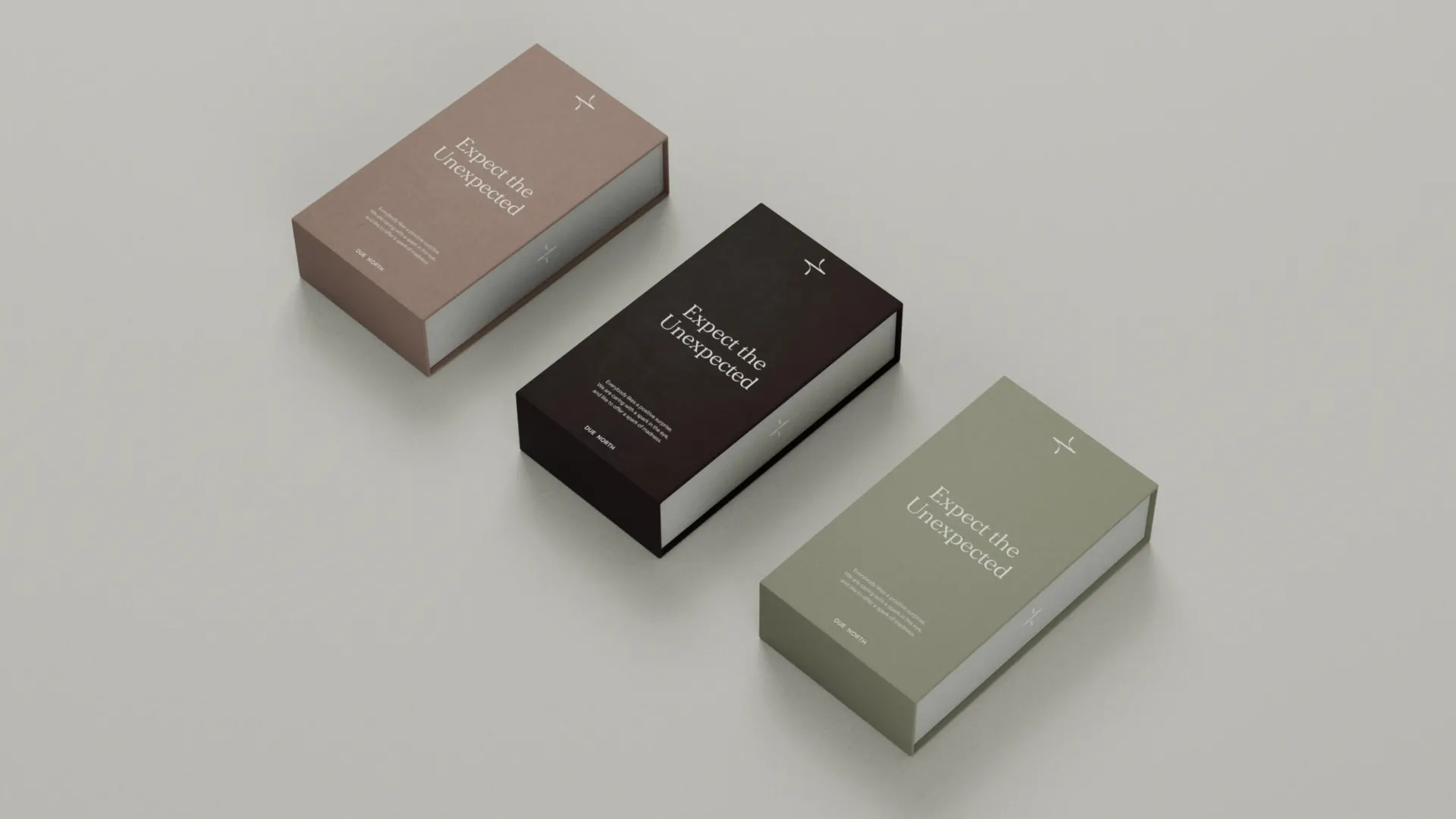 Due North Brand Design Creation 8
