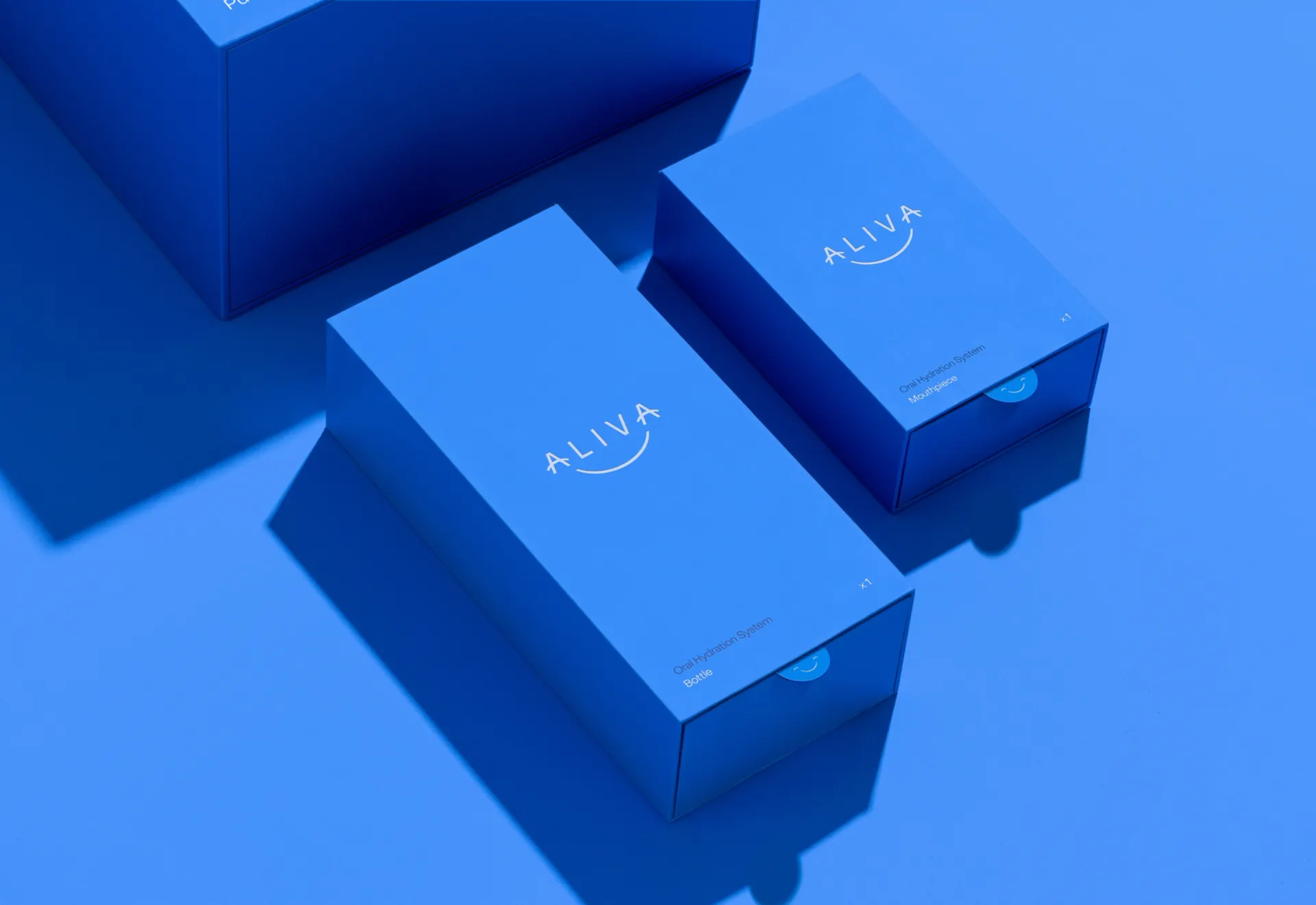 Web Aliva Website Doc 14