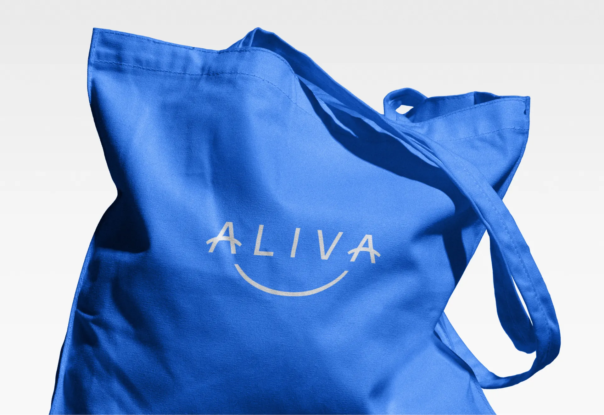 Web Aliva Website Doc 6