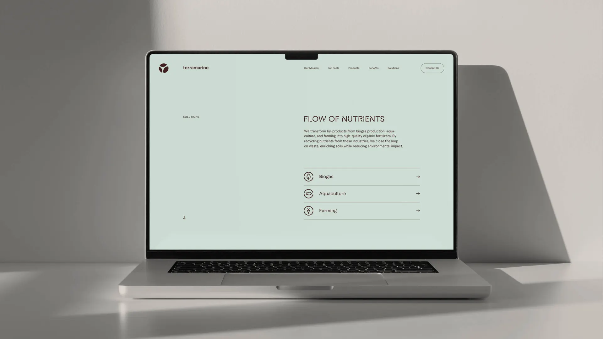 Terramarine Identity KIND Web10 241205 144041
