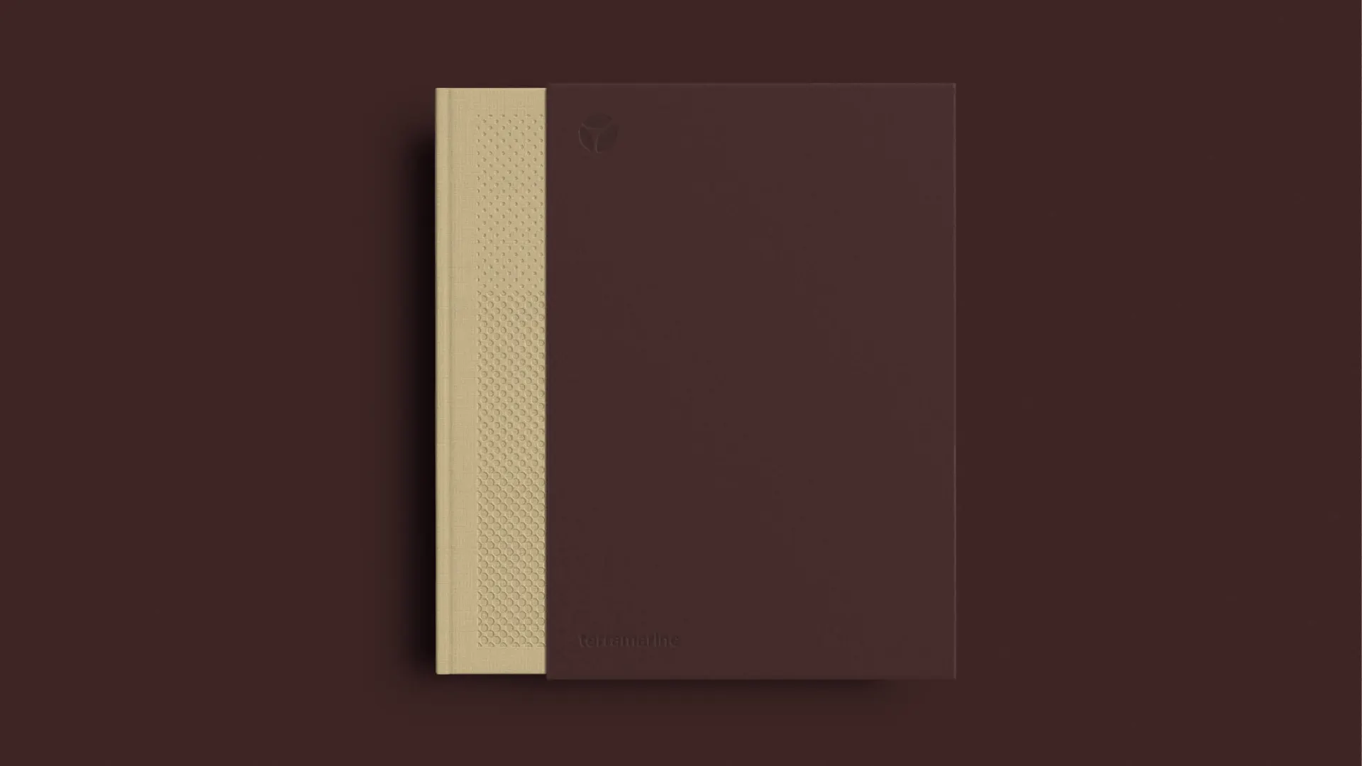 Terramarine Identity KIND Web11 241205 144044