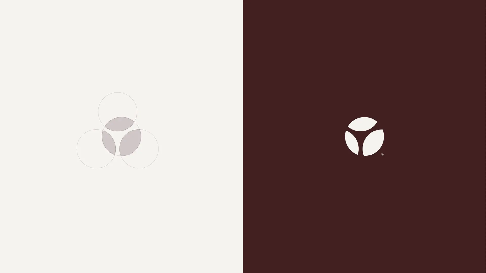 Terramarine Identity KIND Web 241205 143957