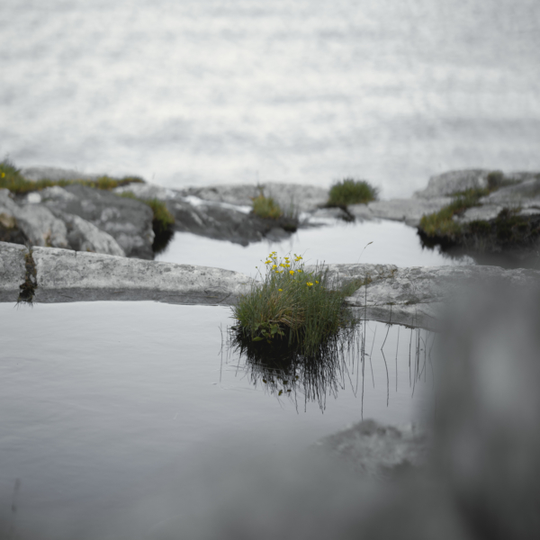 T3 A6763 Edit preview