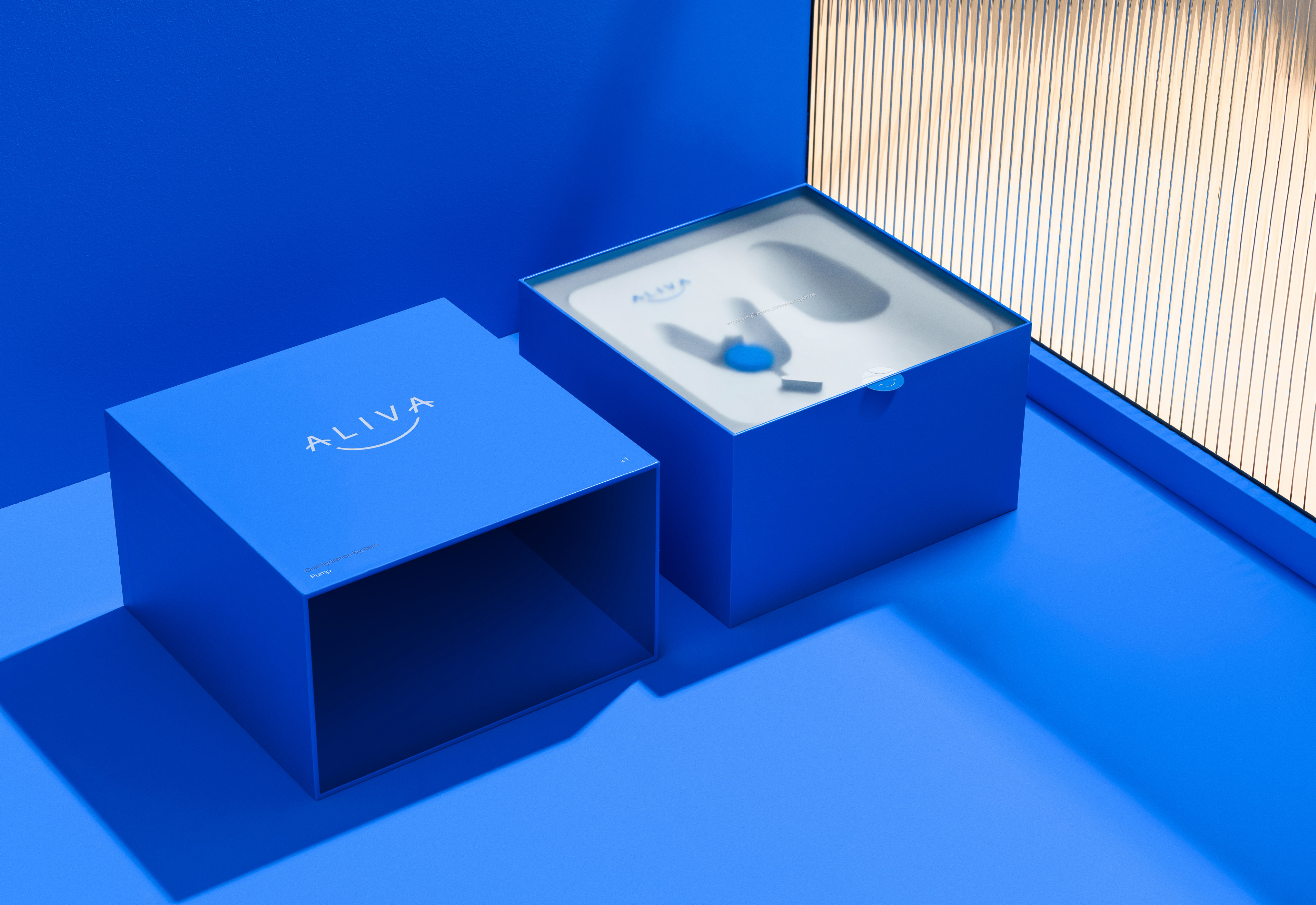 Web Aliva Website Doc 13