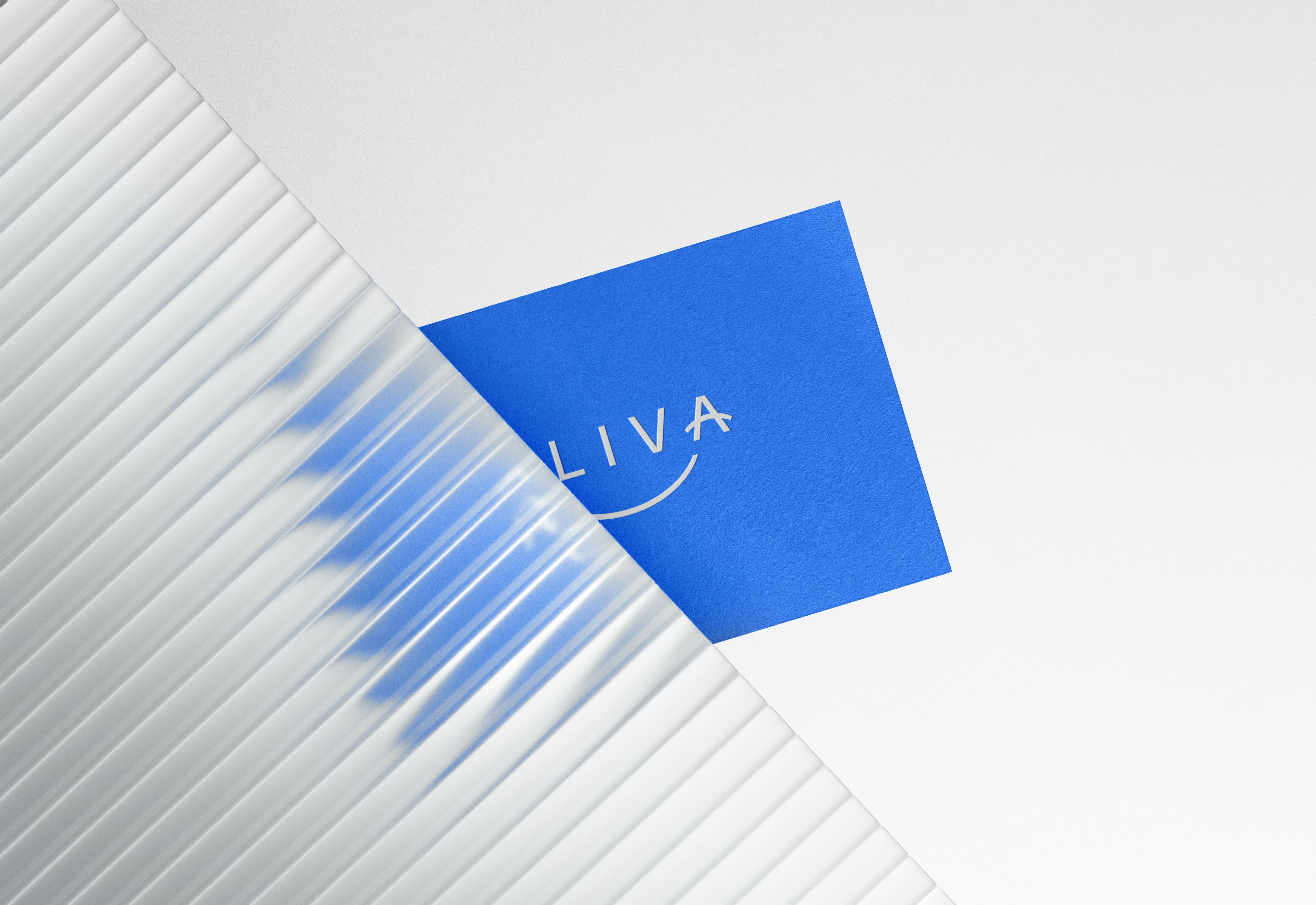 Web Aliva Website Doc 4