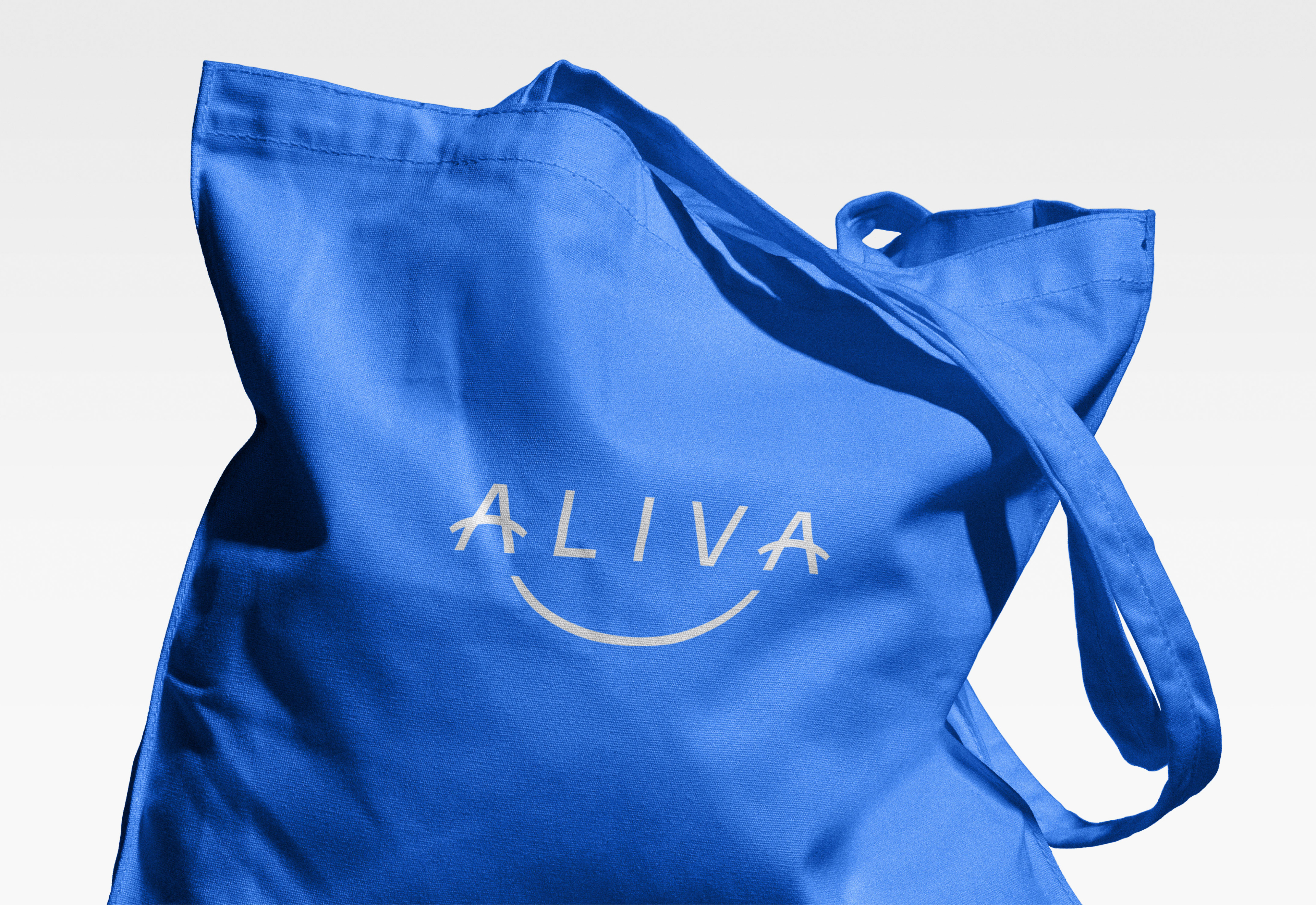 Web Aliva Website Doc 6