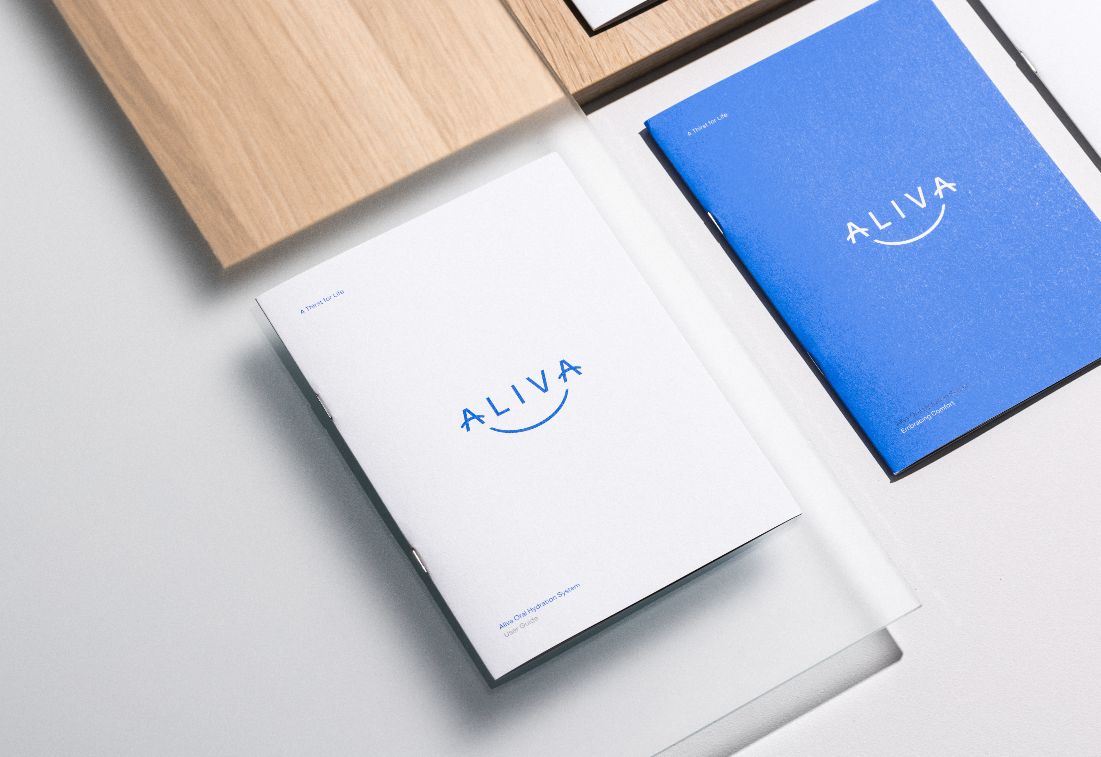 Web Aliva Website Doc 8