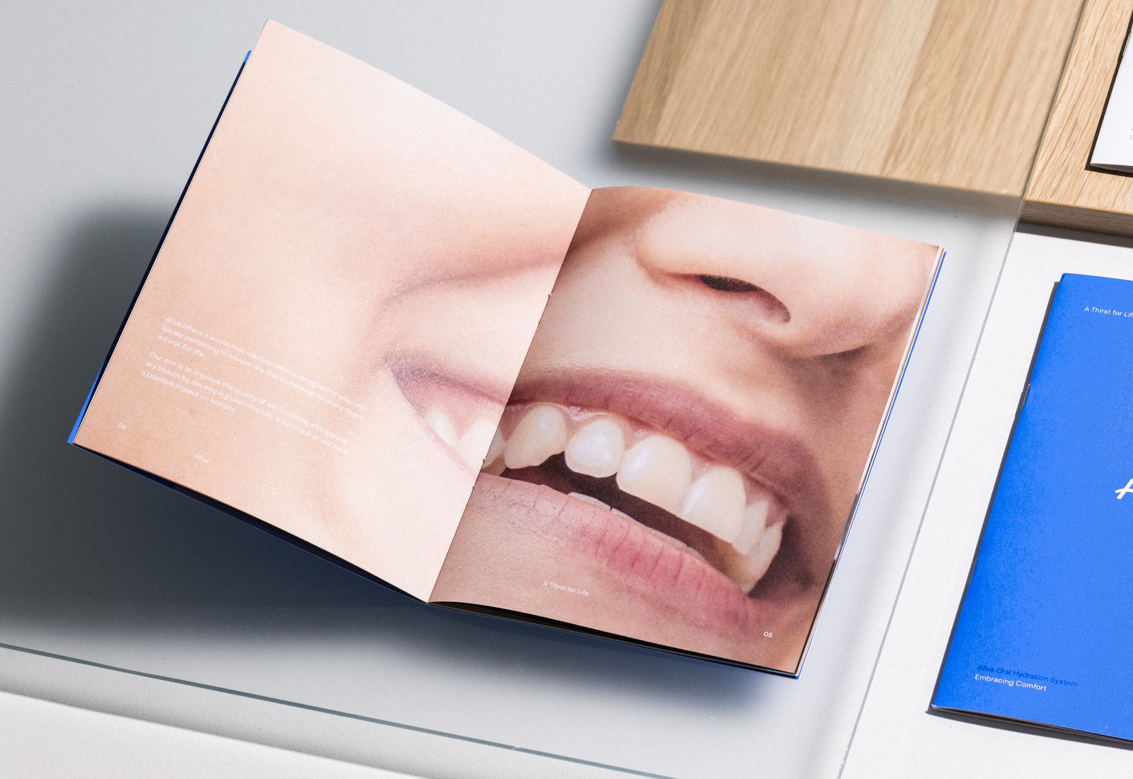 Web Aliva Website Doc 9