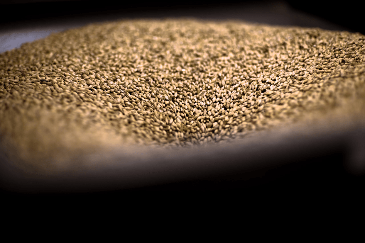 140821 7Fjell Workers 7A