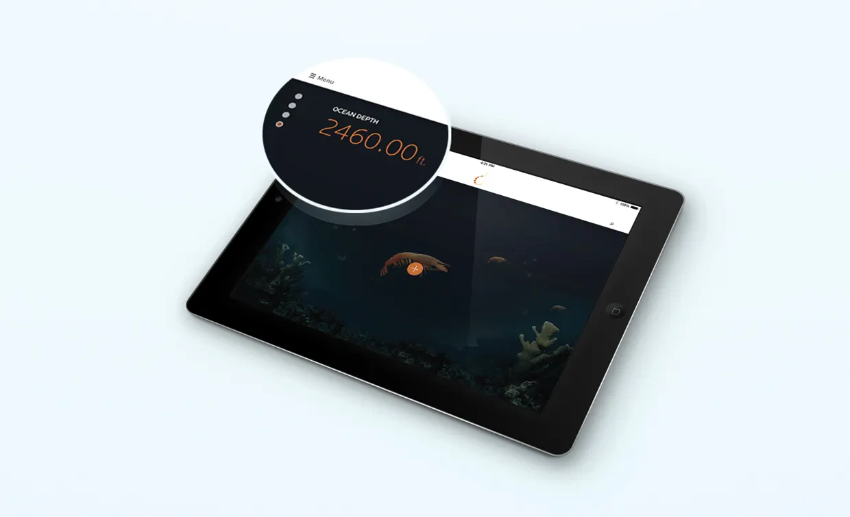 Cwpn Web2