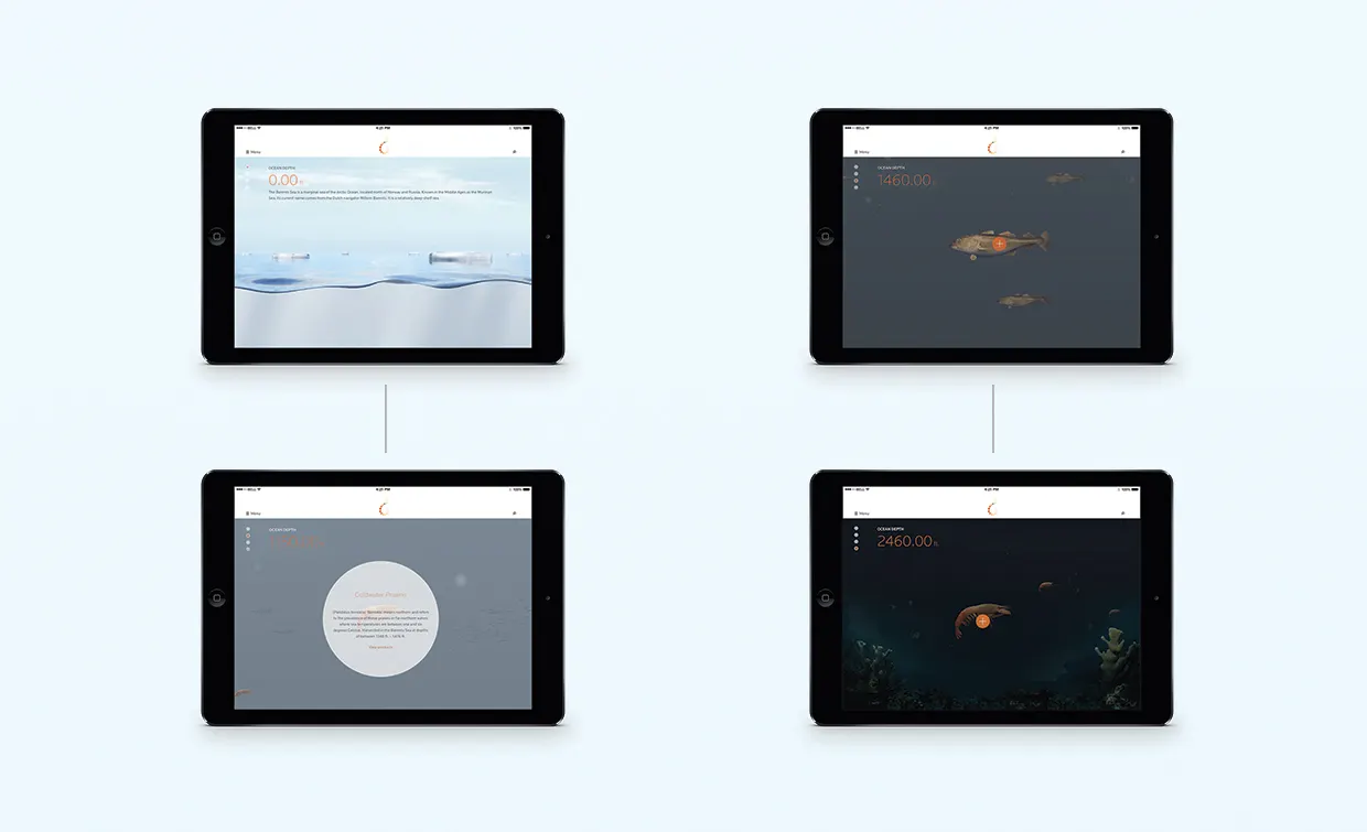 Cwpn Web3