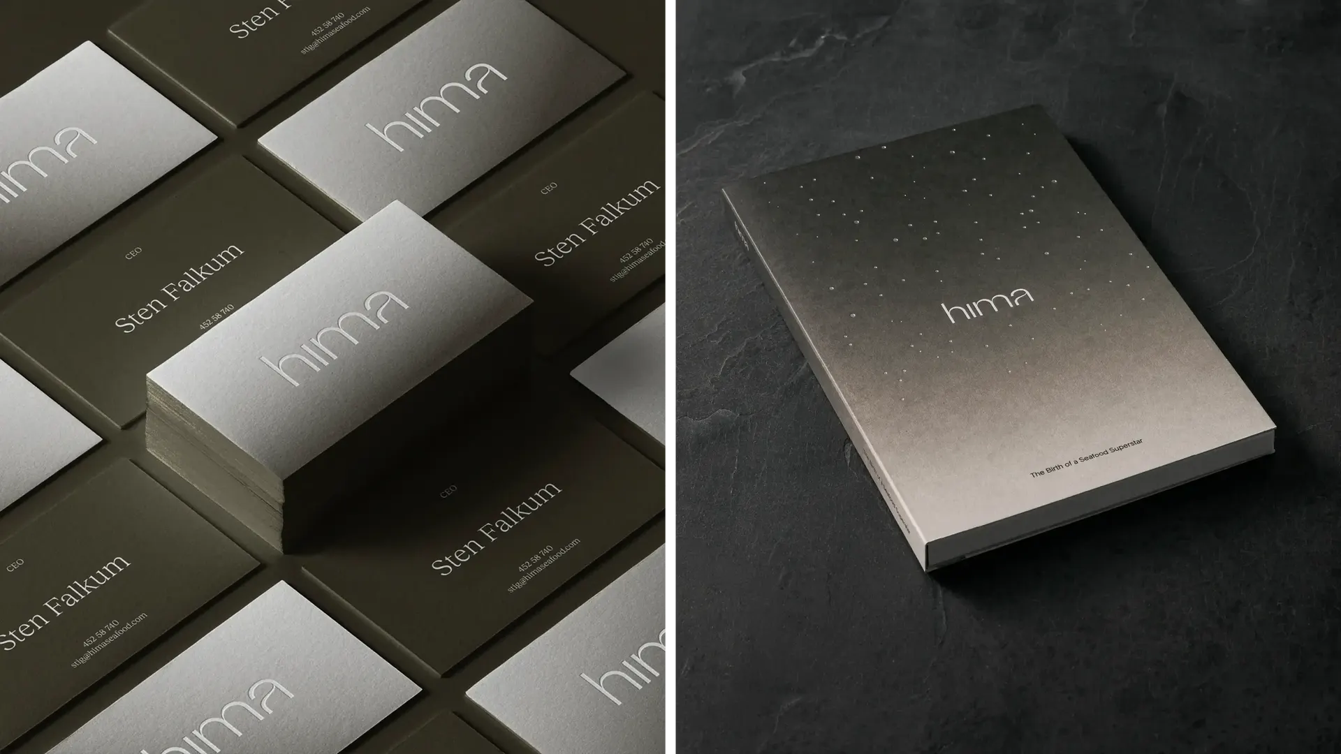 4 WEB Hima Graphic Design Promotional Publication4 v2
