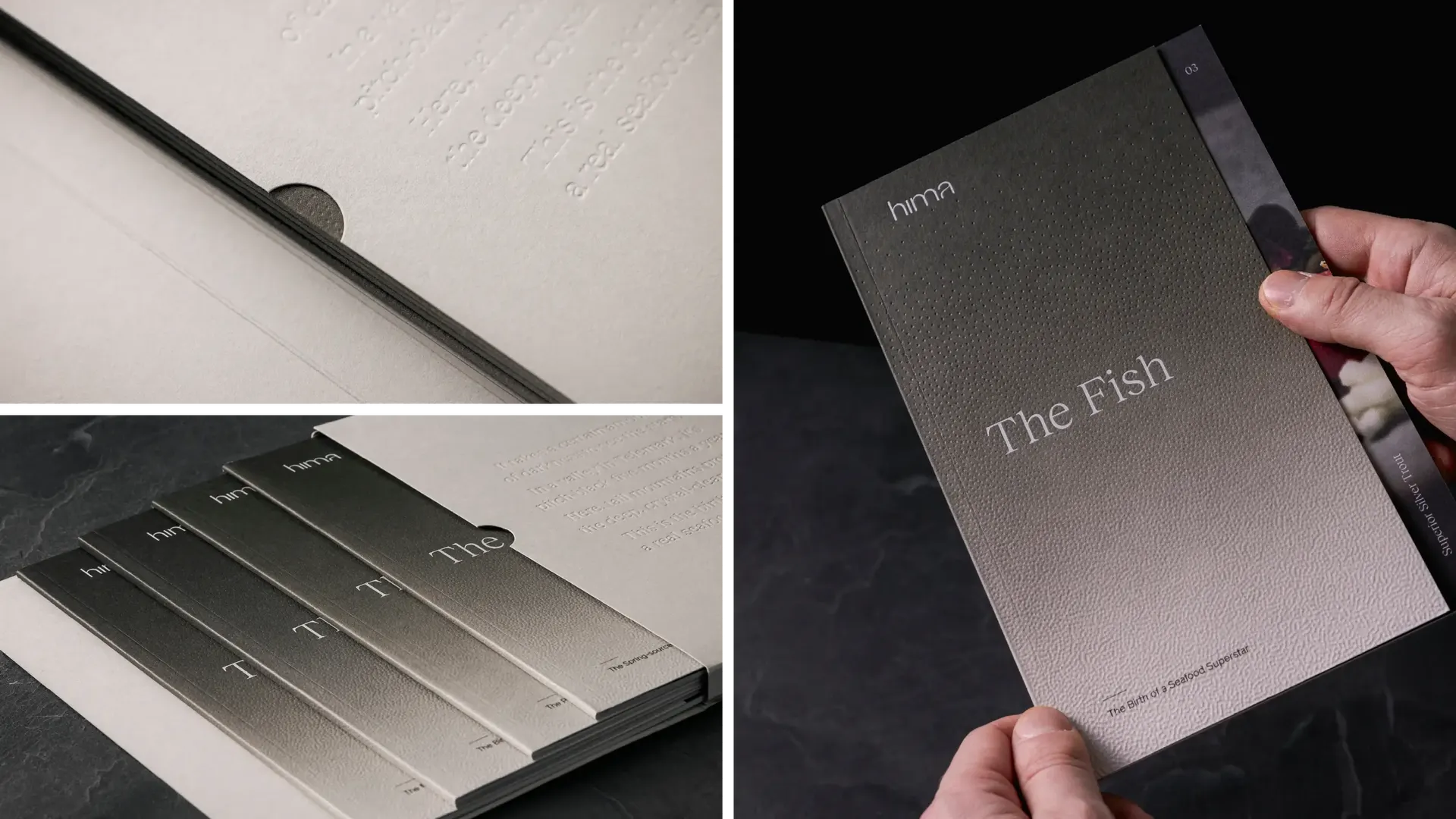 6 WEB Hima Graphic Design Promotional Publication5 v2