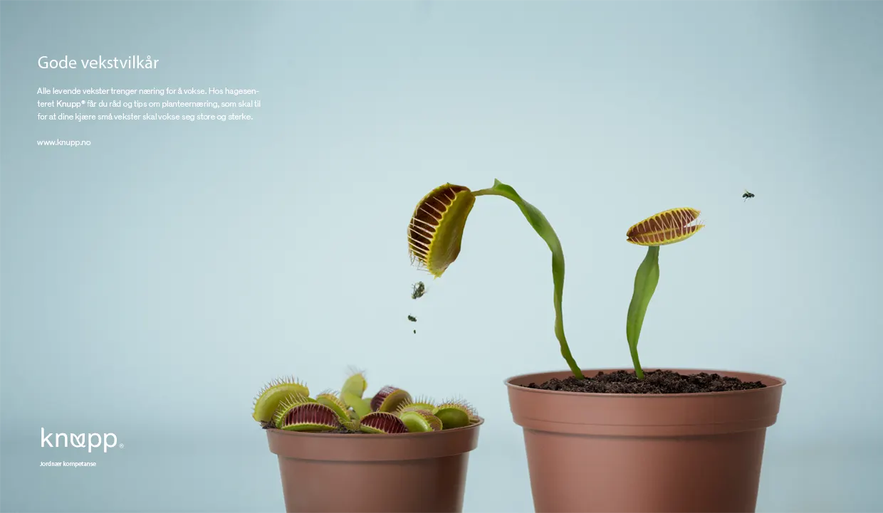 14 1