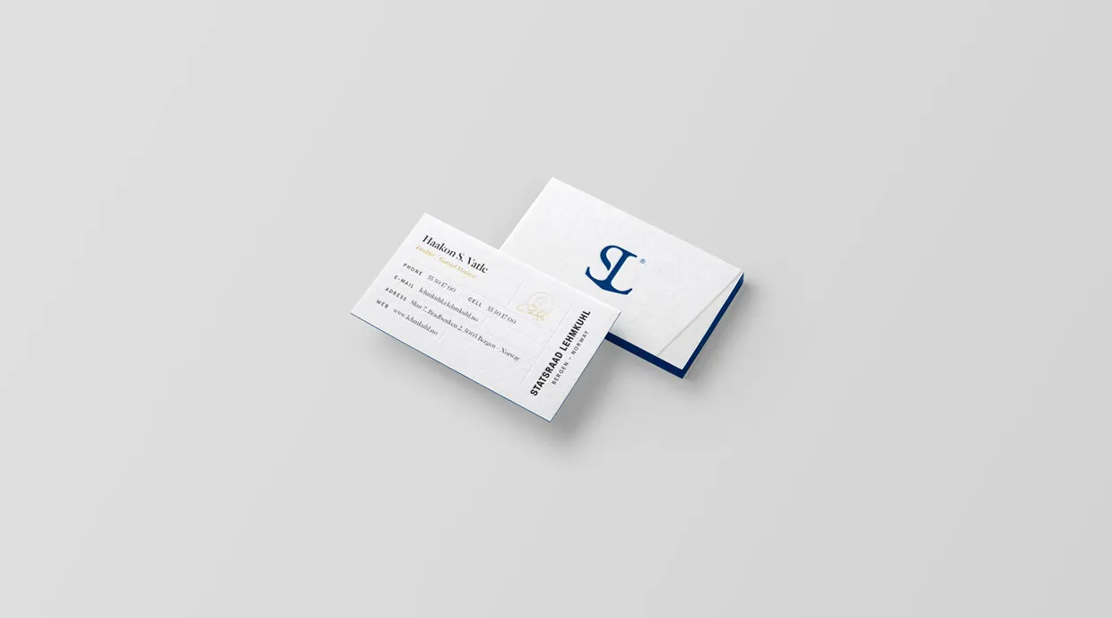 Visittkort Blue V2