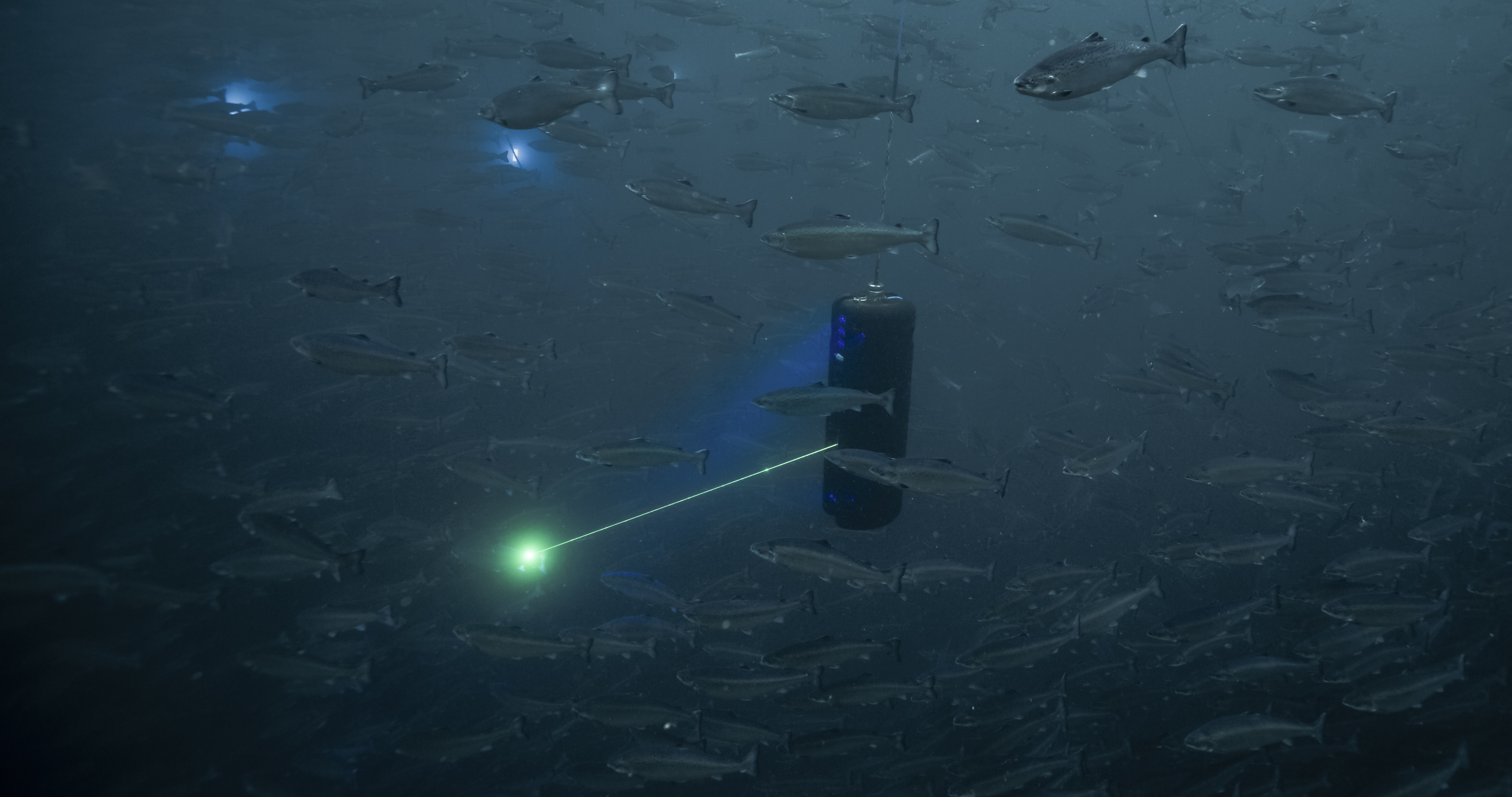 C001 A011 0317 Af 0029865 Edit