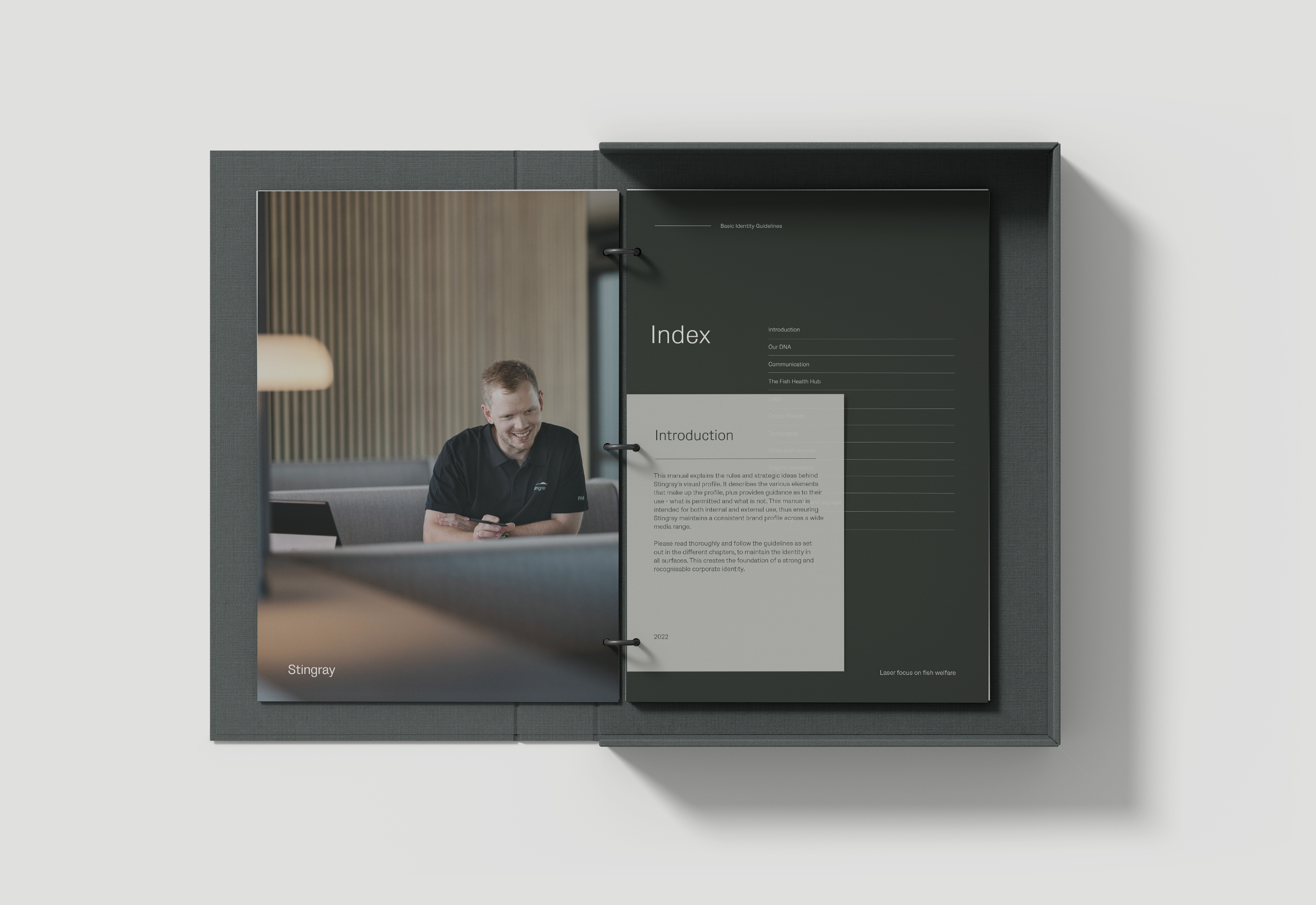 Stingray Identity Guidelines 2 Copy