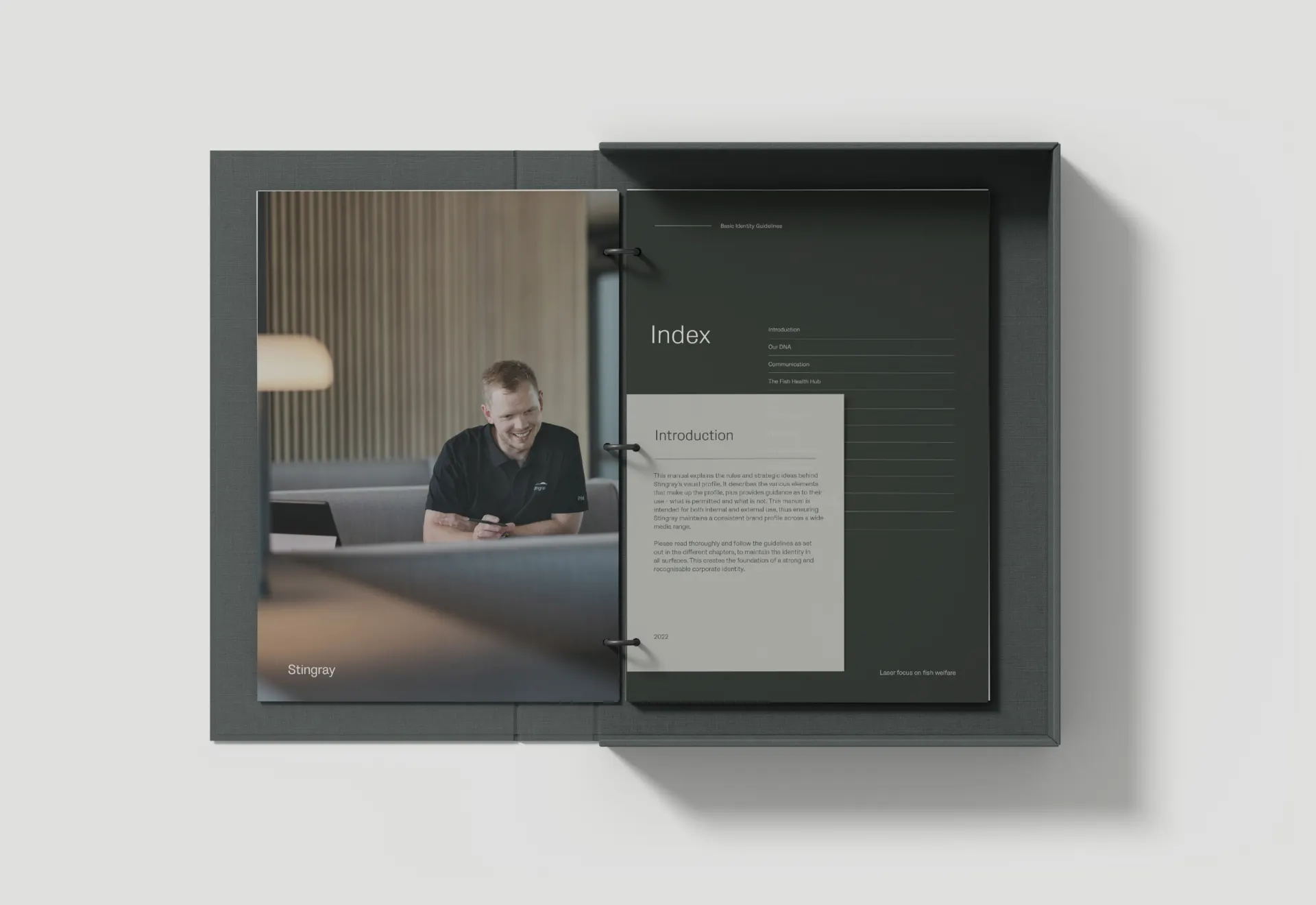 Stingray Identity Guidelines 2 Copy