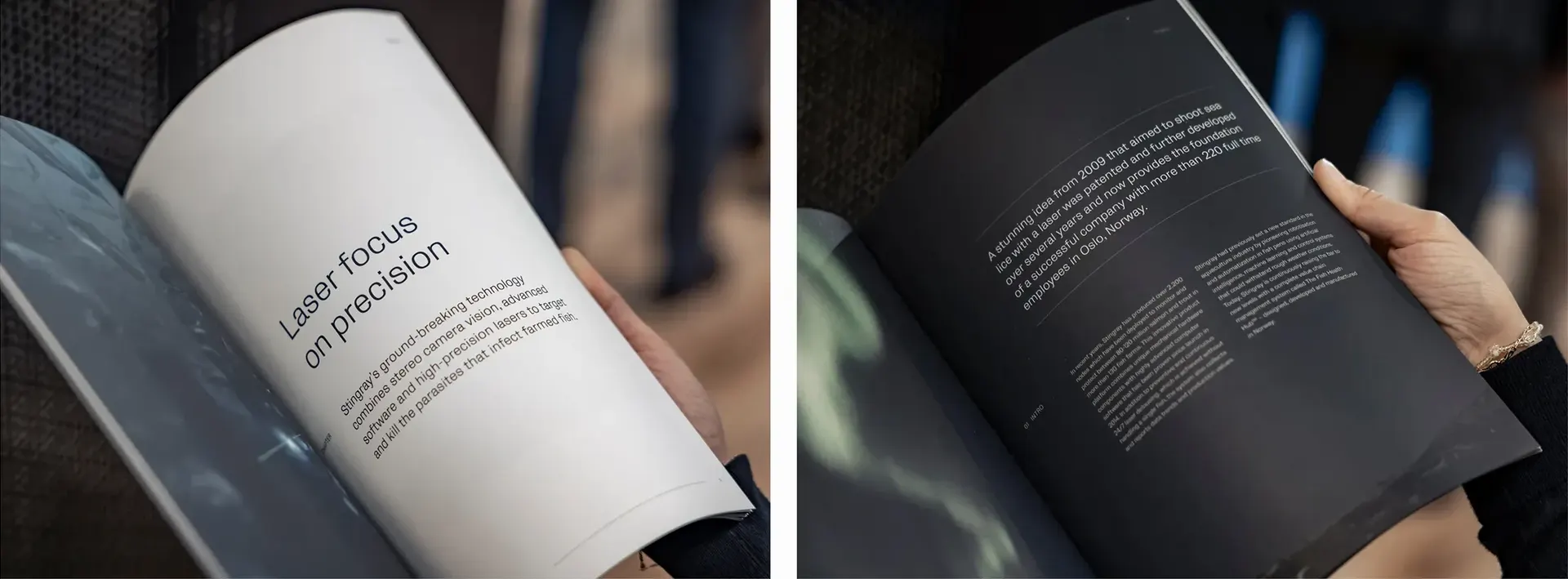 16 kind work stingray layout brochure